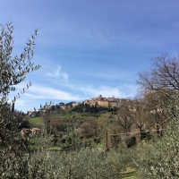 Montepulciano - Panorama